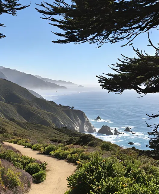 ImageWithFallback (1)