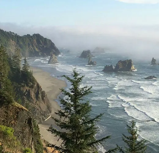 ImageWithFallback (2)